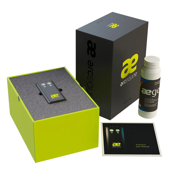 Arc Equine Therapy System
